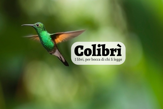 Colibri 05
